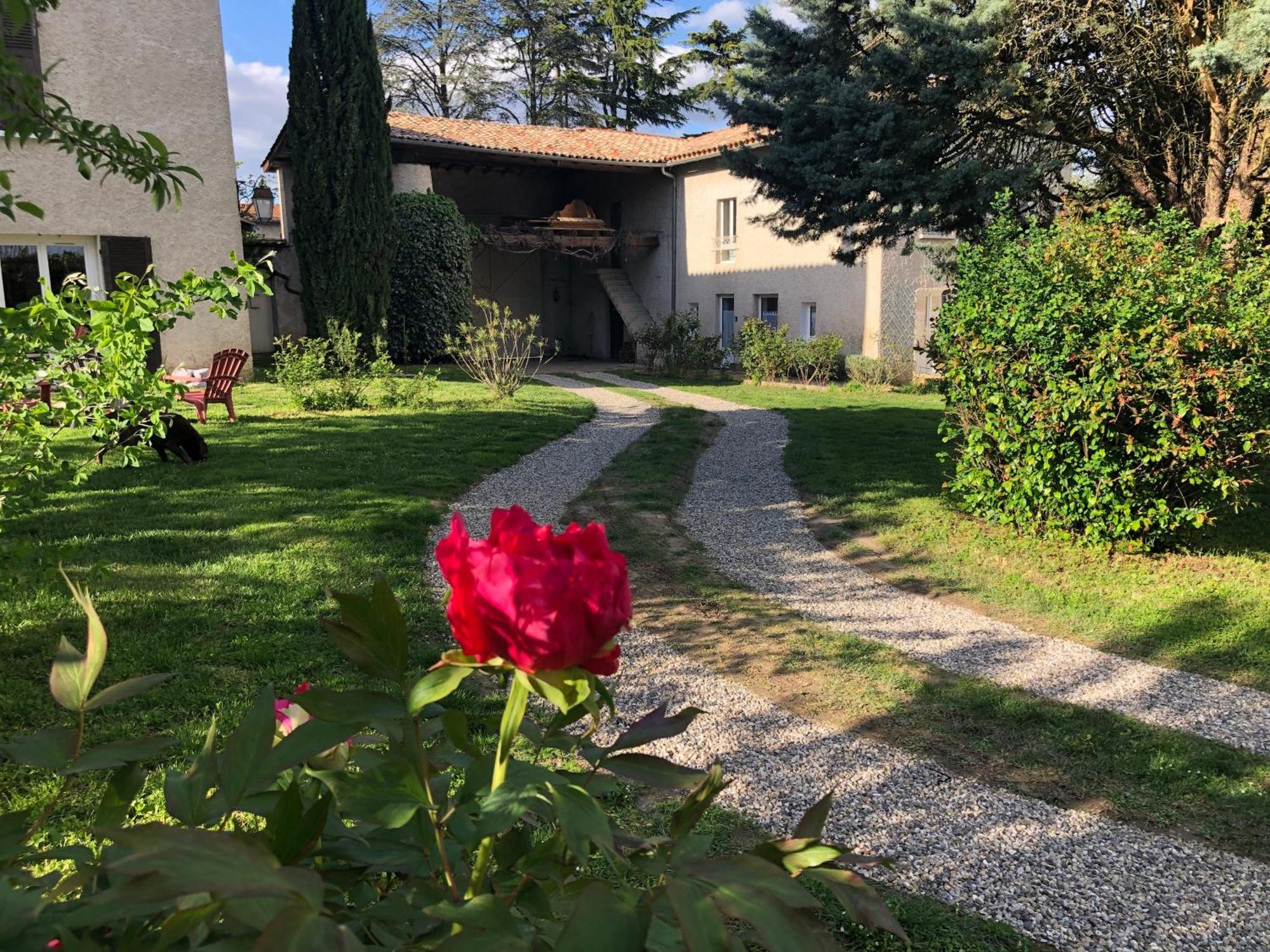 Les Loges De Bacchus L'Epicurieux Apartment Chonas-lʼAmballan Exterior foto